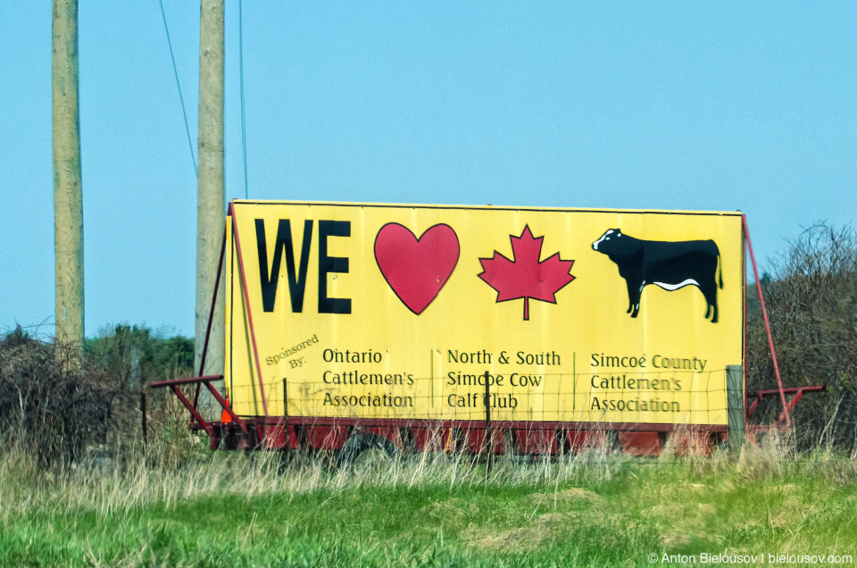 We love Canada and cows sign