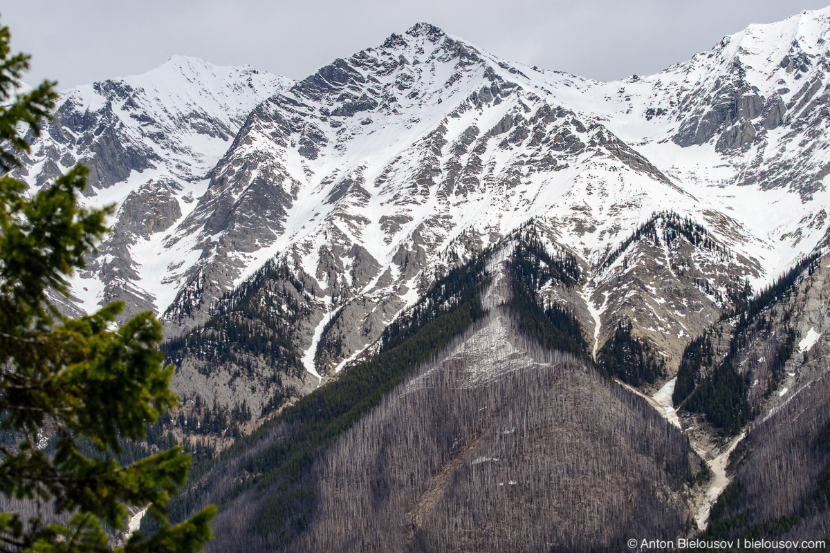 Views from trail to Wapta Falls — Yoho National Park