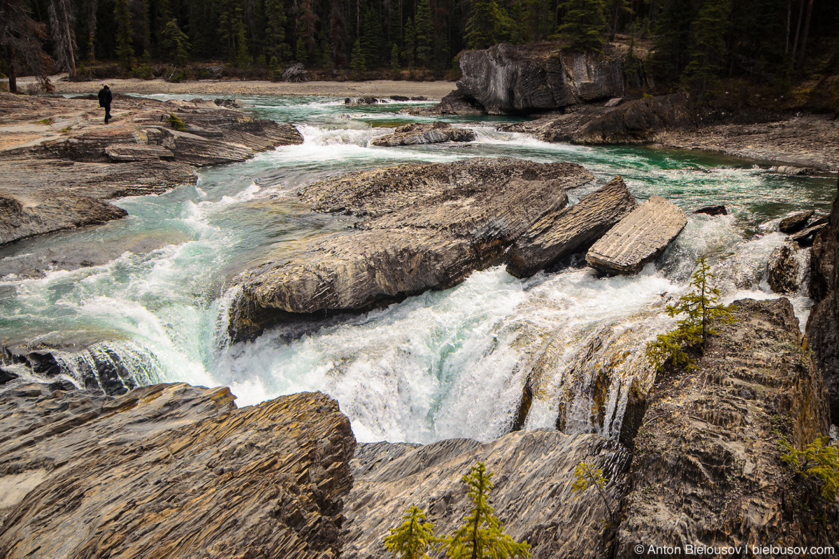 Emerald Lake Natural Bridge — Yoho National Park