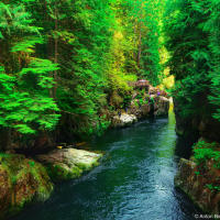 Capilano river, North Vancouver, BC Capilano river, North Vancouver, BC