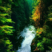 Capilano River Capilano River