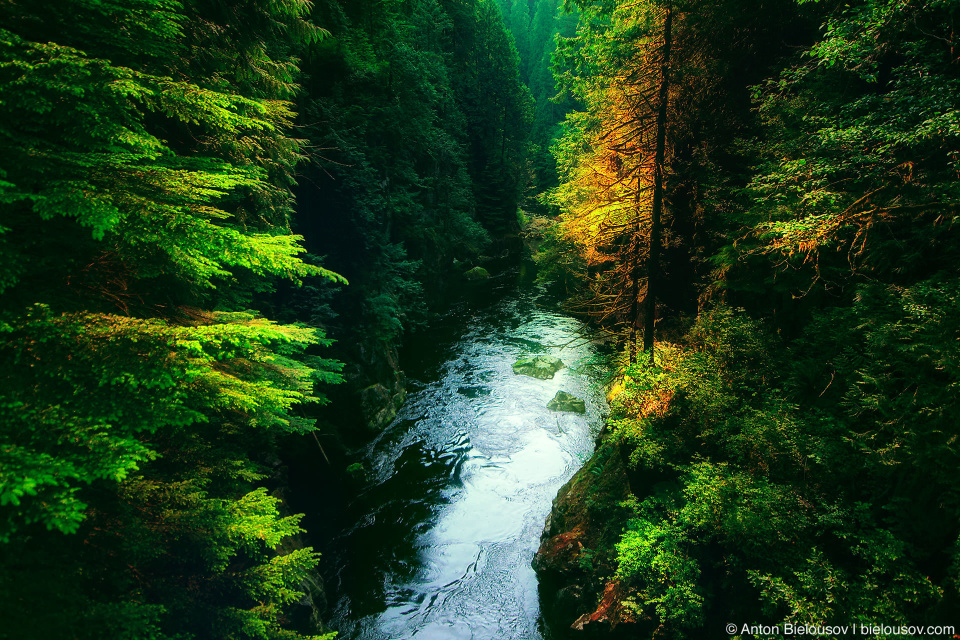 Capilano River