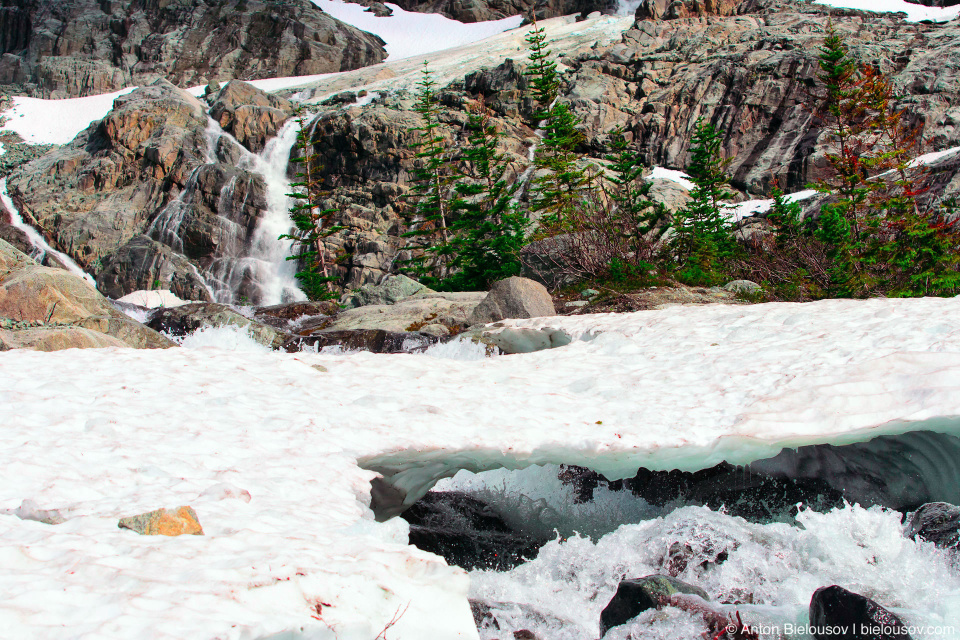 Matier glacier