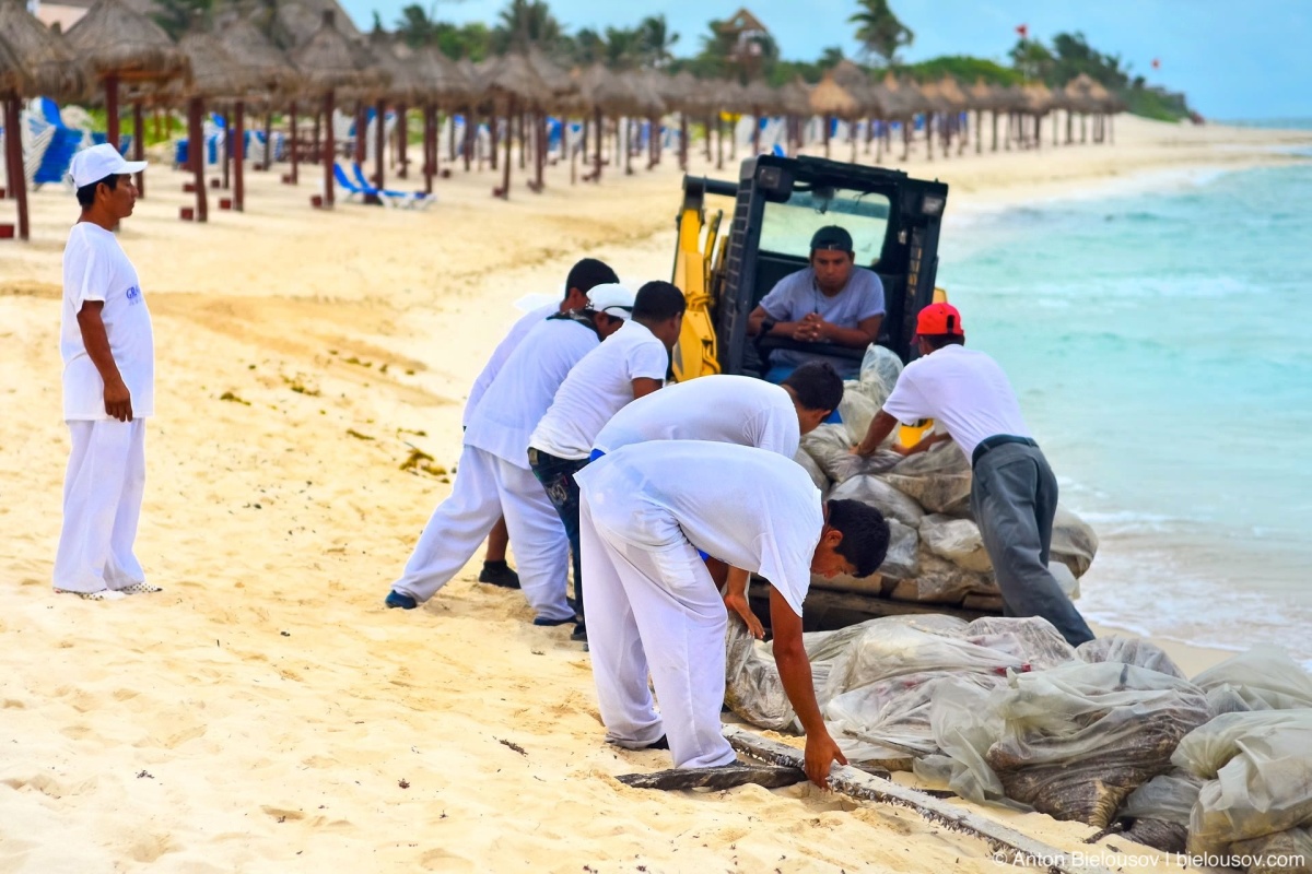 Уборка пляжа в Мексике (Riviera Maya)