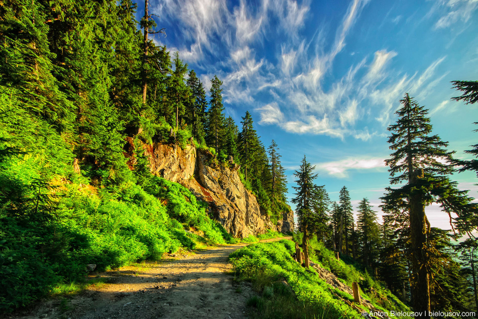 Grouse Mountain Alpine (goat mountain) trail