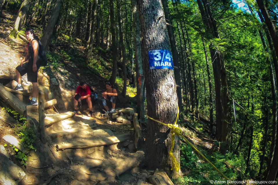 Grouse Grind 3/4 Mark