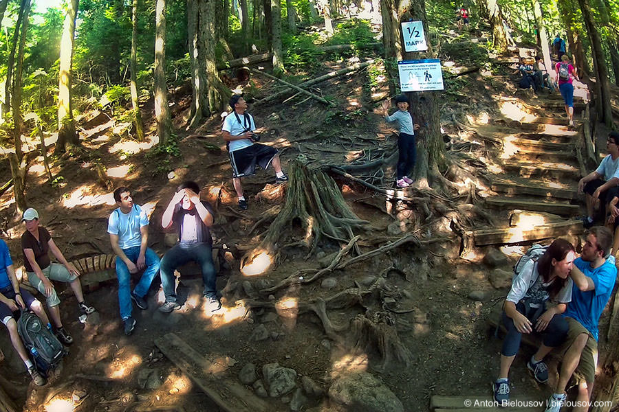 Grouse Grind 1/2 Mark