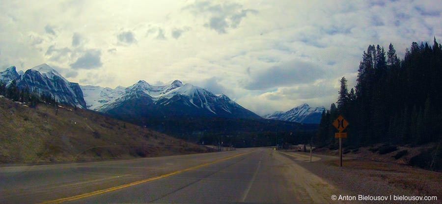 Панорама с обочины Trance Canada Highway в Национальном парке Banff, Canada