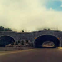 Wildlife overpass in Banff National Park, Canada Wildlife overpass in Banff National Park, Canada