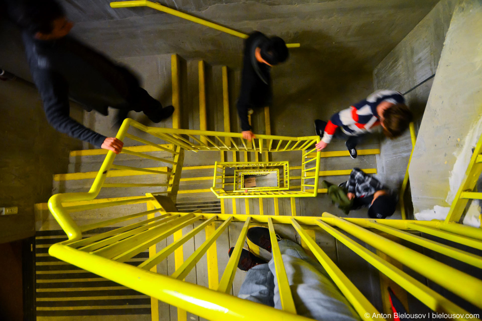 Mobify descending the stairs at Kookaburra Lodge, Sun Peaks, BC