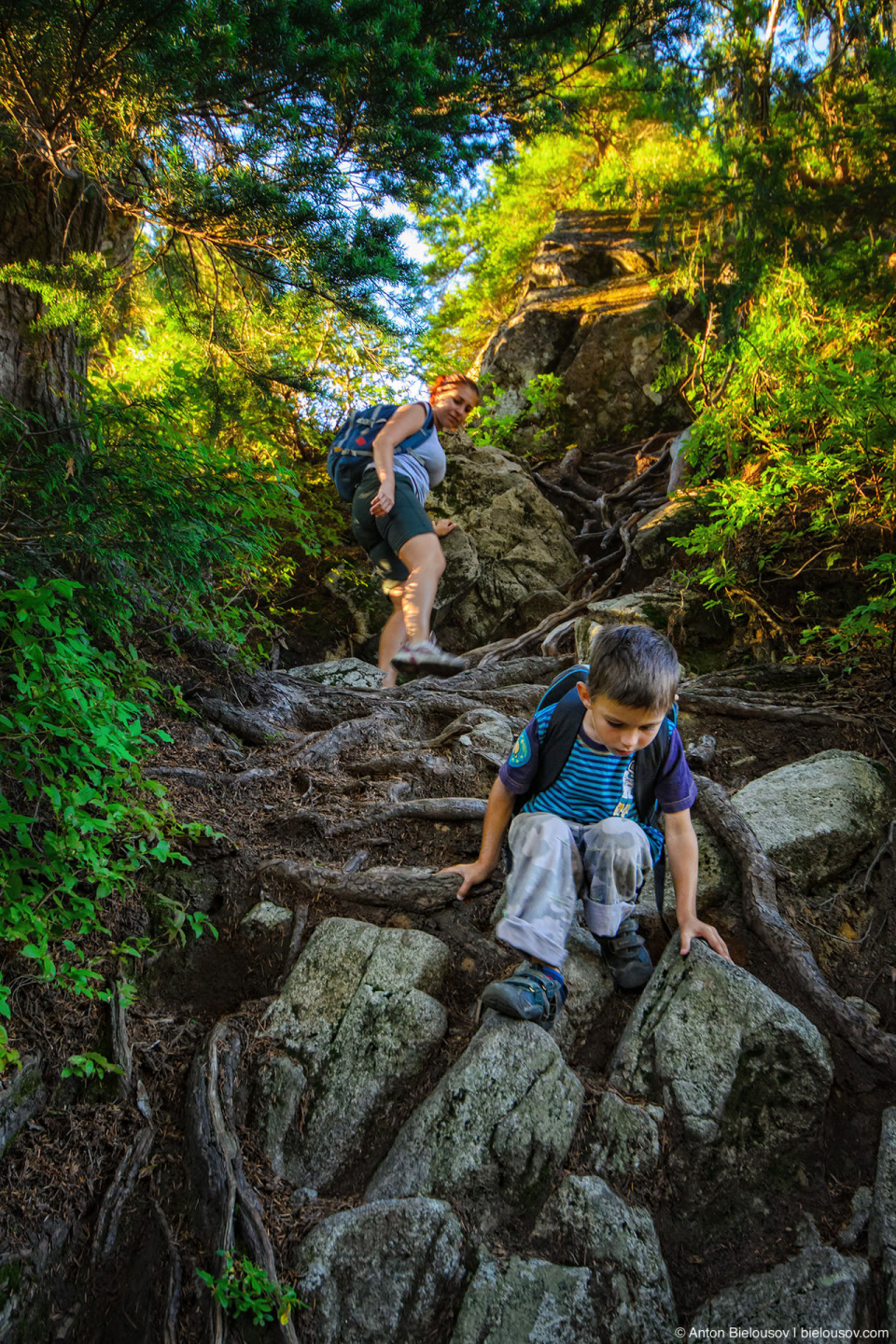 Корни и камни на трейле с Grouse на Goat Mountain