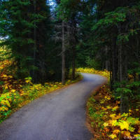 Sun Peaks trail Sun Peaks trail