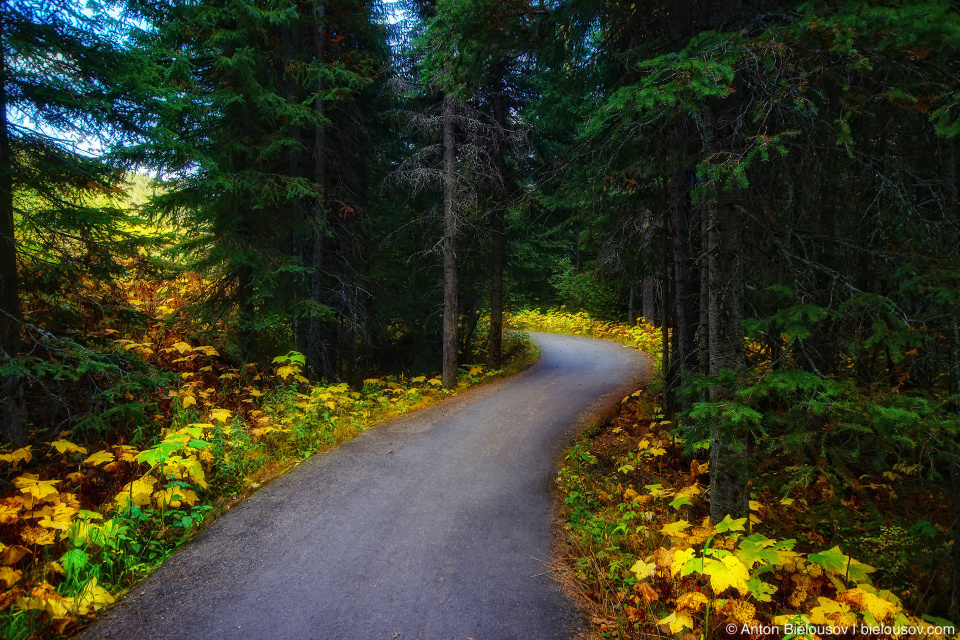 Sun Peaks trail