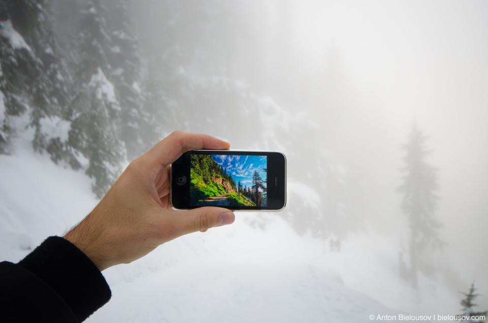 Вид на трейл на горе Grouse Mountain в июле и в ноябре