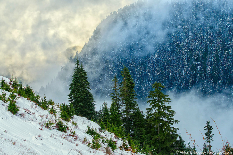 Зима на горе Grouse Mountain (Ванкувер, Канада)