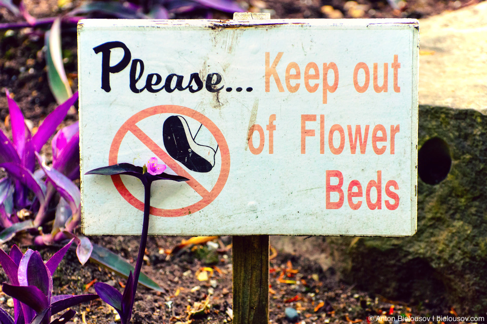 Please keep out of flowers beds sign (Queen Elizabeth park, Vancouver. BC) Please keep out of flowers beds sign (Queen Elizabeth park, Vancouver. BC)