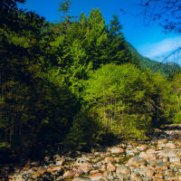 Река в долине Lynn Valley Река в долине Lynn Valley