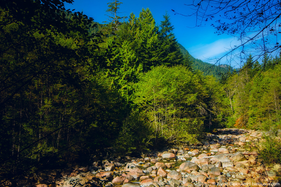 Река в долине Lynn Valley