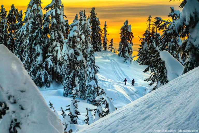 Снежный трейл на вершине горы Grouse Mountain в Ванкувере