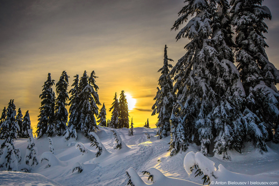 Заснеженный трейл для снегоступов на вершине горы Grouse Mountain в Ванкувере