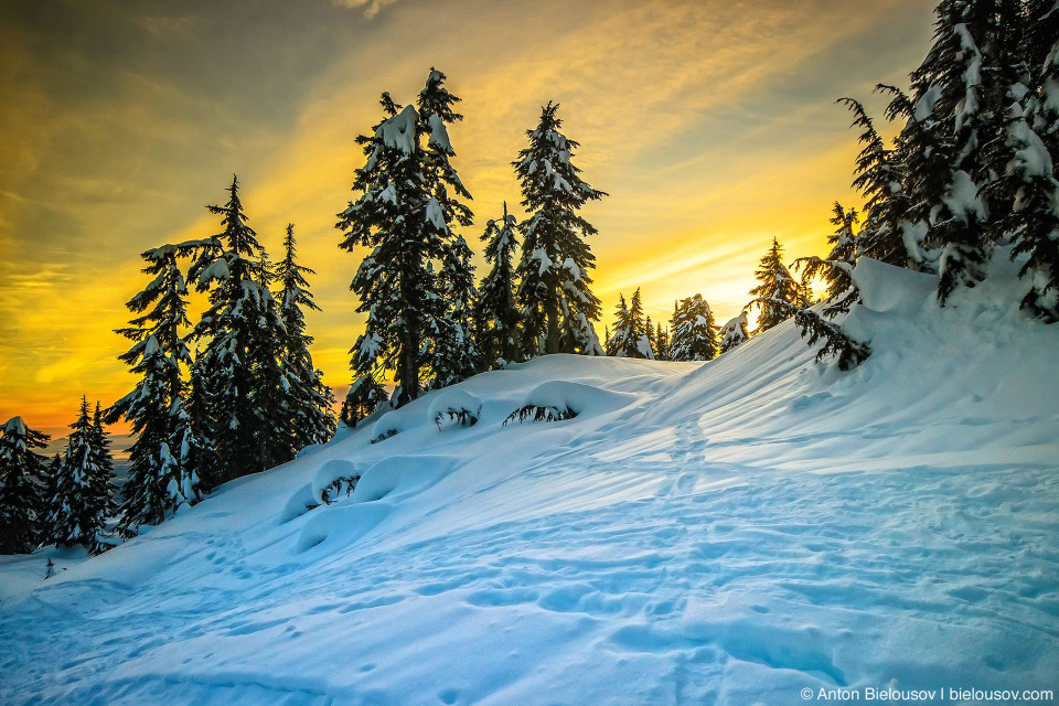 Заснеженный трейл для снегоступов на вершине горы Grouse Mountain