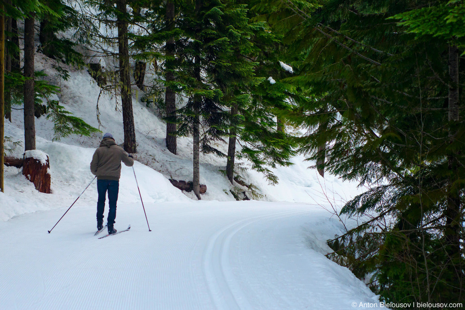 Лыжный трейл вокруг Потерянного Озера (Lost Lake, Whistler BC) и… Игорь