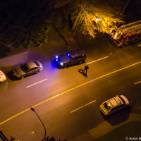 Dog on scene Dog on scene