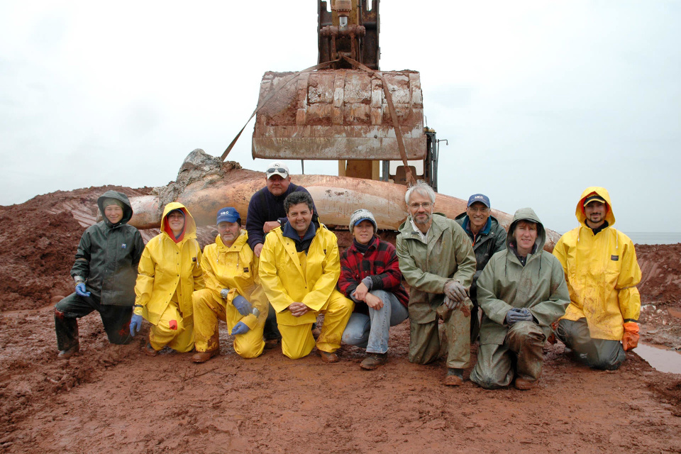 PEI Blue Whale recover team