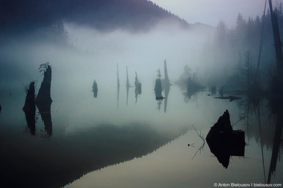 Туман на озере Buntzen Lake