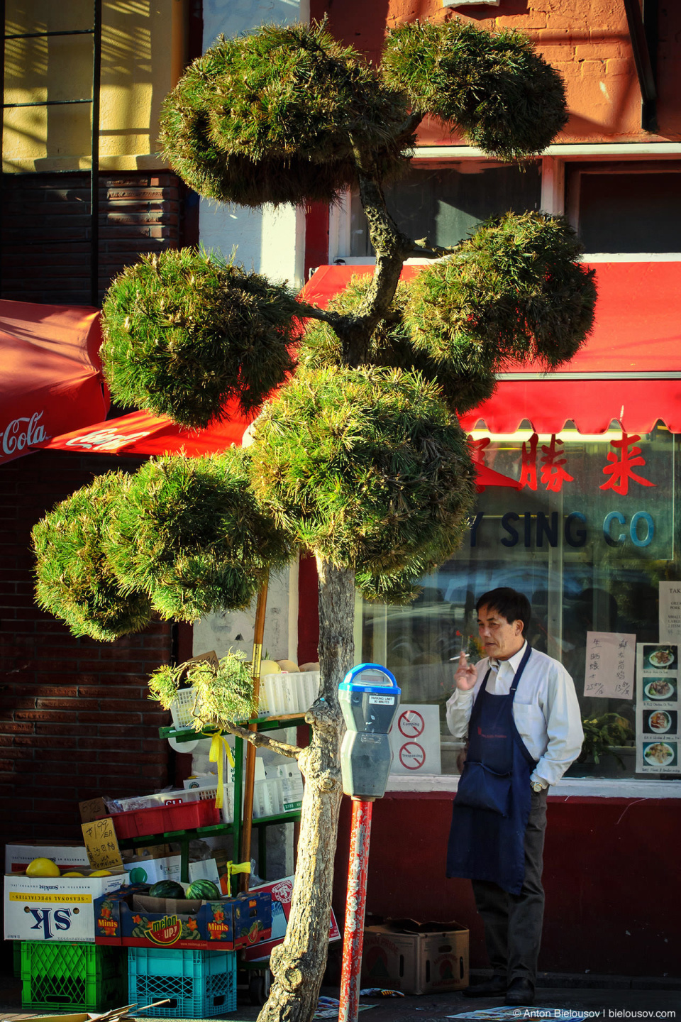 повар китайского ресторана на перекуре (Chinatown, Victoria BC)