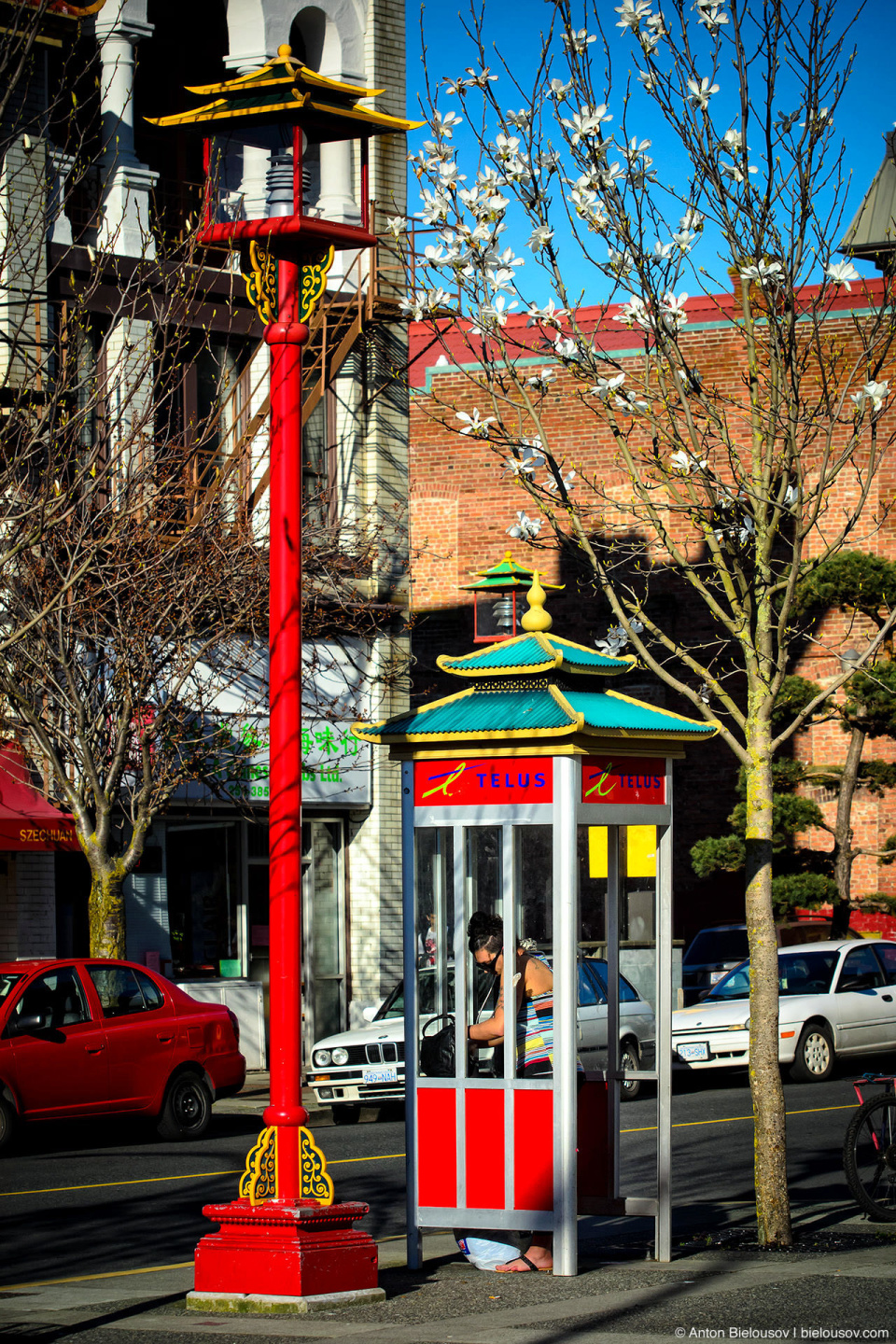 Telus phone booth in Victoria Chinatown