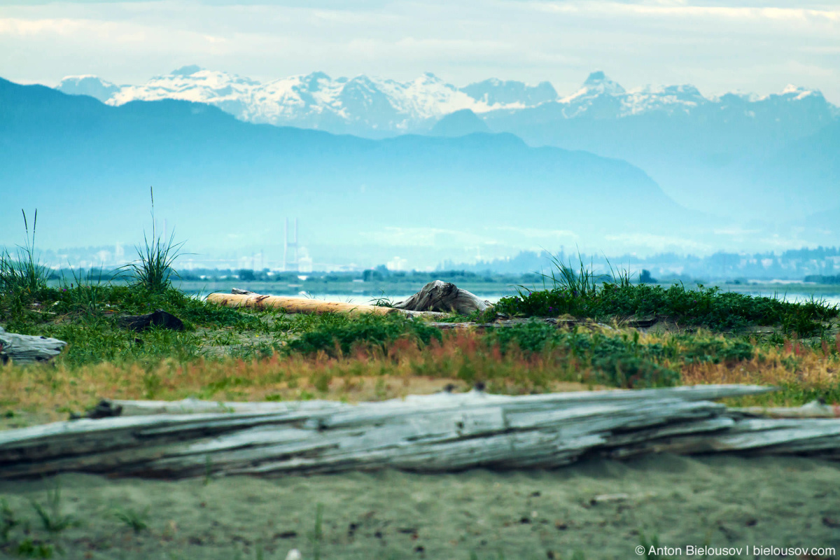 Партизанская вылазка в Америку Tsawwassen: Point Roberts ...