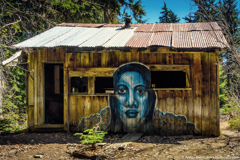 Единственный устоявший дом в поселке Parkhurst (Whistler, BC)