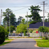 tsawwassen-us-canada-border-fence tsawwassen-us-canada-border-fence