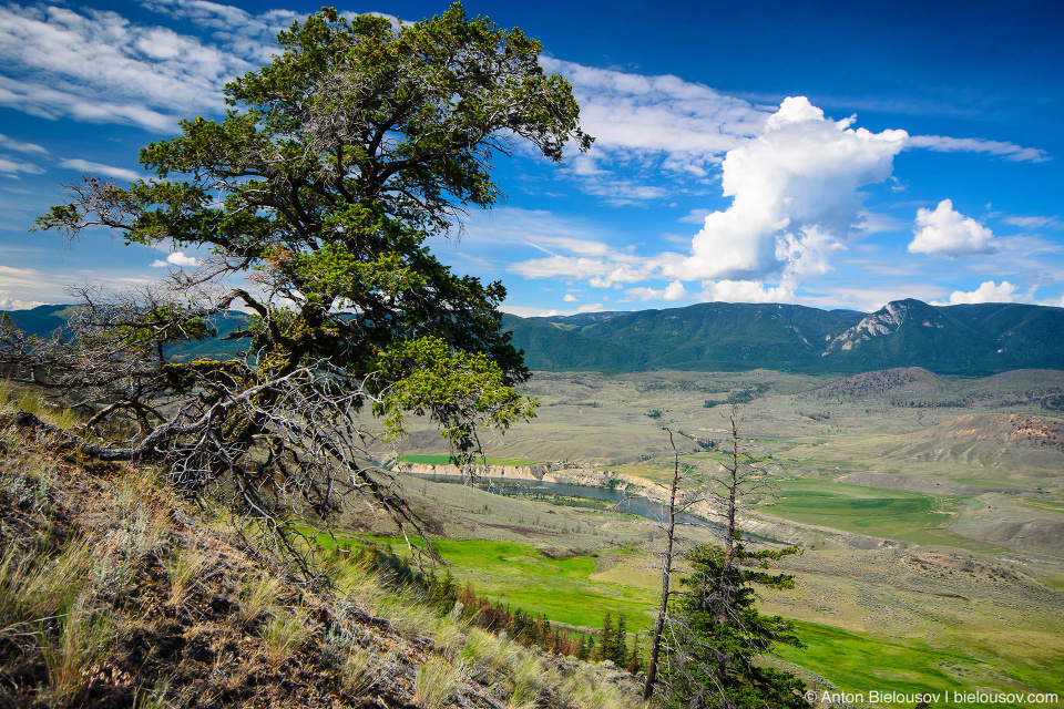 Thompson river valley. (Sundance Guest Ranch, Ashcroft, BC)