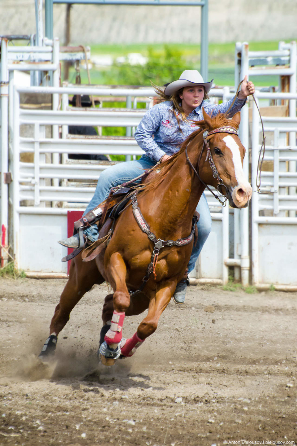 Barrel Horse Racing