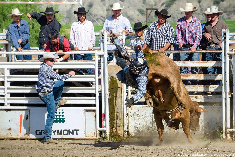 Bull Riding — rodeo in Ashcroft, BC