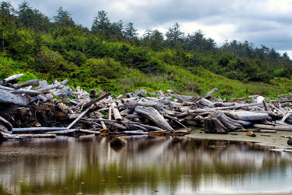 Combers beach debris at Pacific Rim National Park (Vancouver Island) © Anton Bielousov, 2013