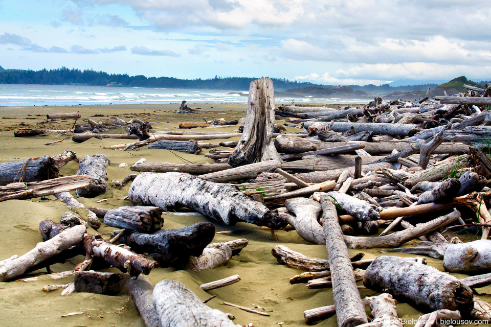 Пляж Combers Beach в Pacific Rim National Park (Vancouver Island)