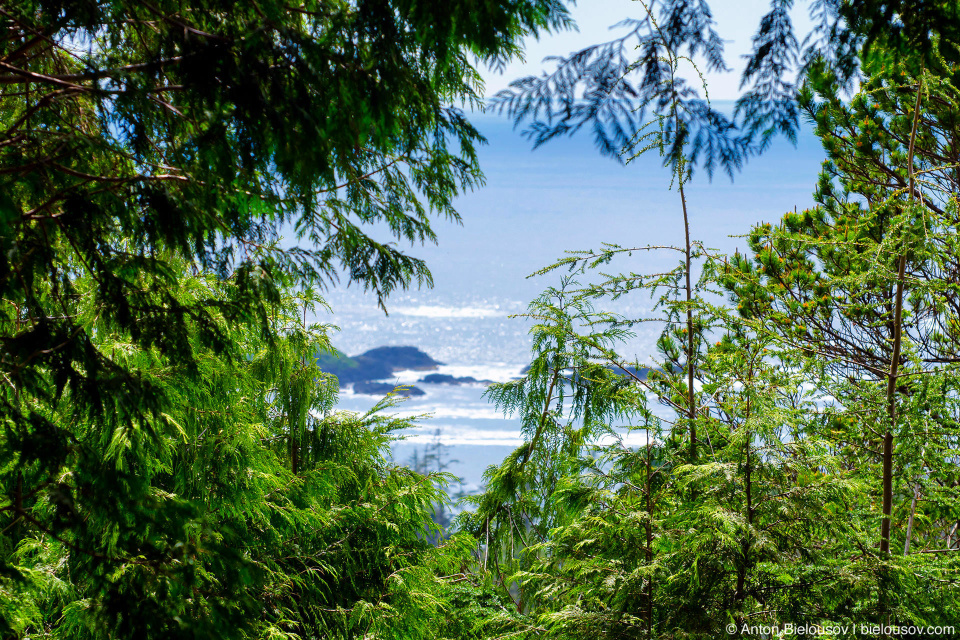 Pacific Rim National Park (Vancouver Island) © Anton Bielousov, 2013