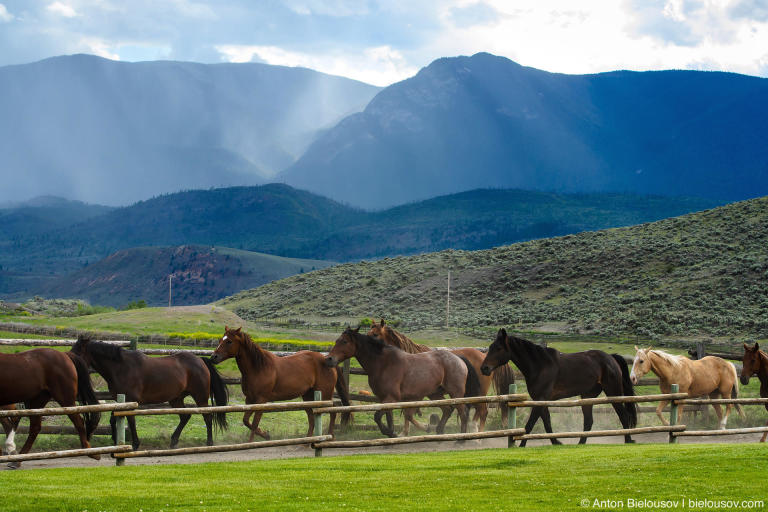Ранчо и Родео в Ashcroft, BC