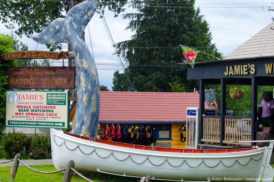 Jamies Whale Watching Ad in Tofino, BC