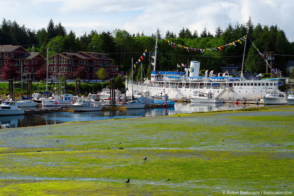 Внутренний порт города Ucluelet, BC во время отлива