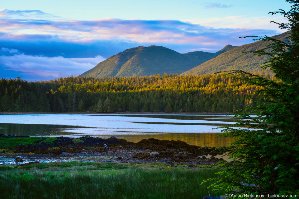 Вид на бухту на закате (Ucluelet, BC)