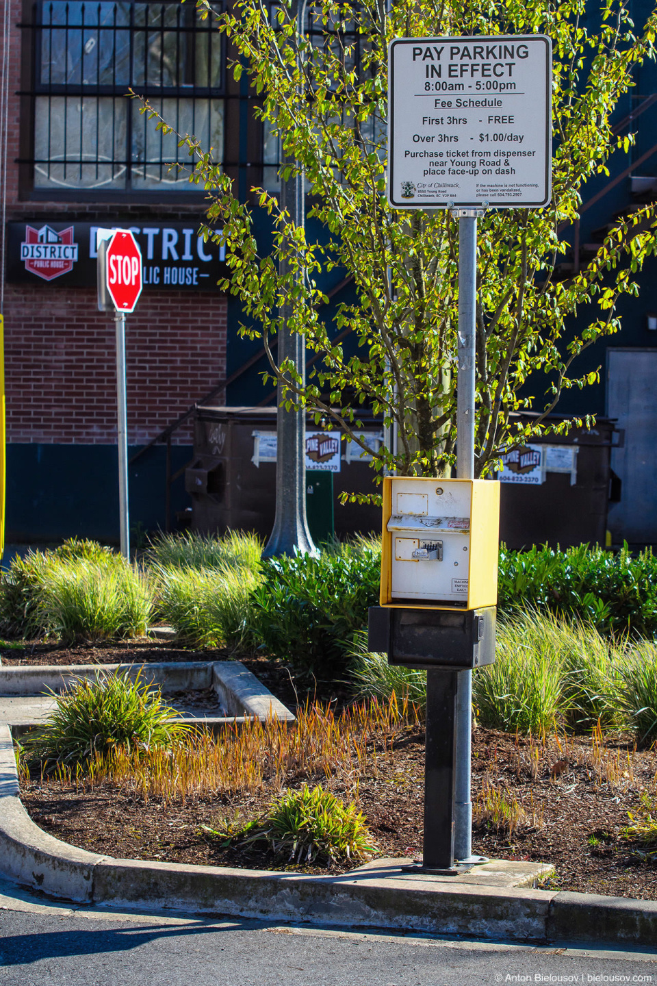 Parking machine in Chilliwack, BC