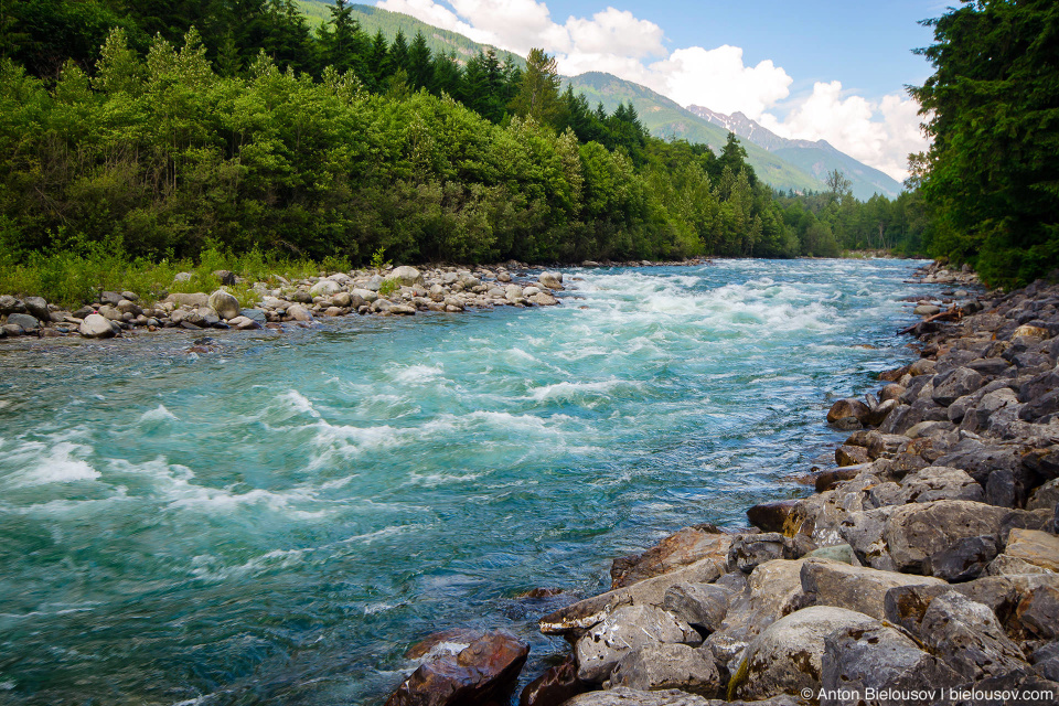 Chilliwack River (Chilliwack, BC)