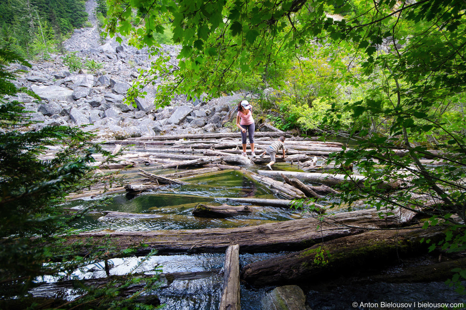 Lindeman Lake Log Debris (Chilliwack, BC)