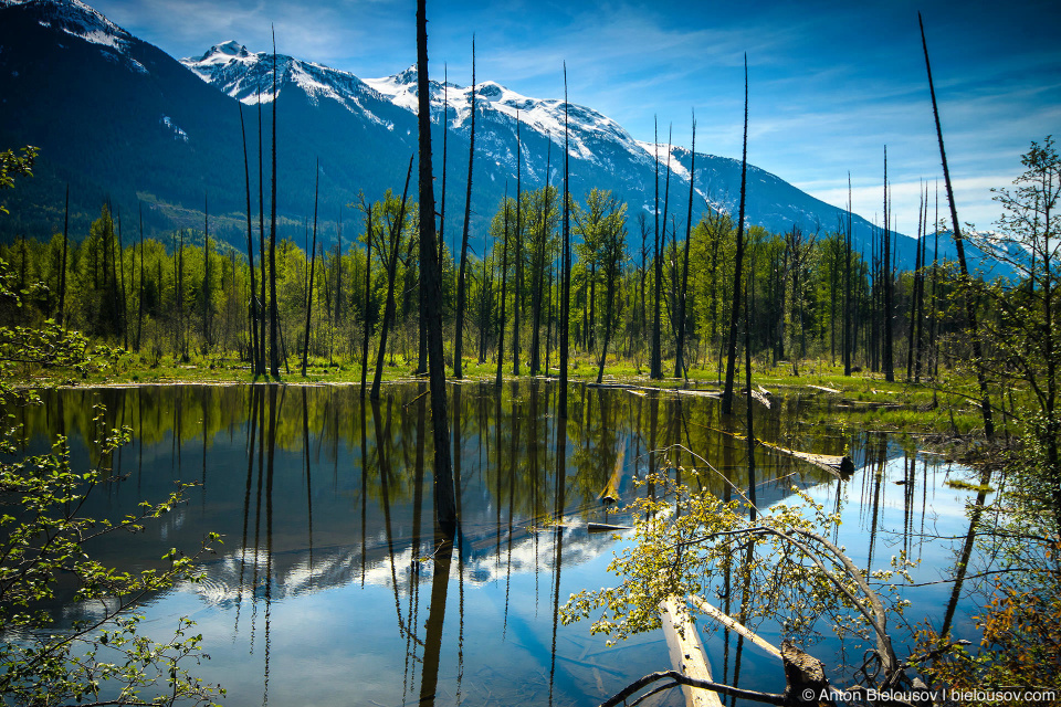 Одно из многих безымянных озер на реке Лиллуэт (Lillooet River, Pemberton, BC)