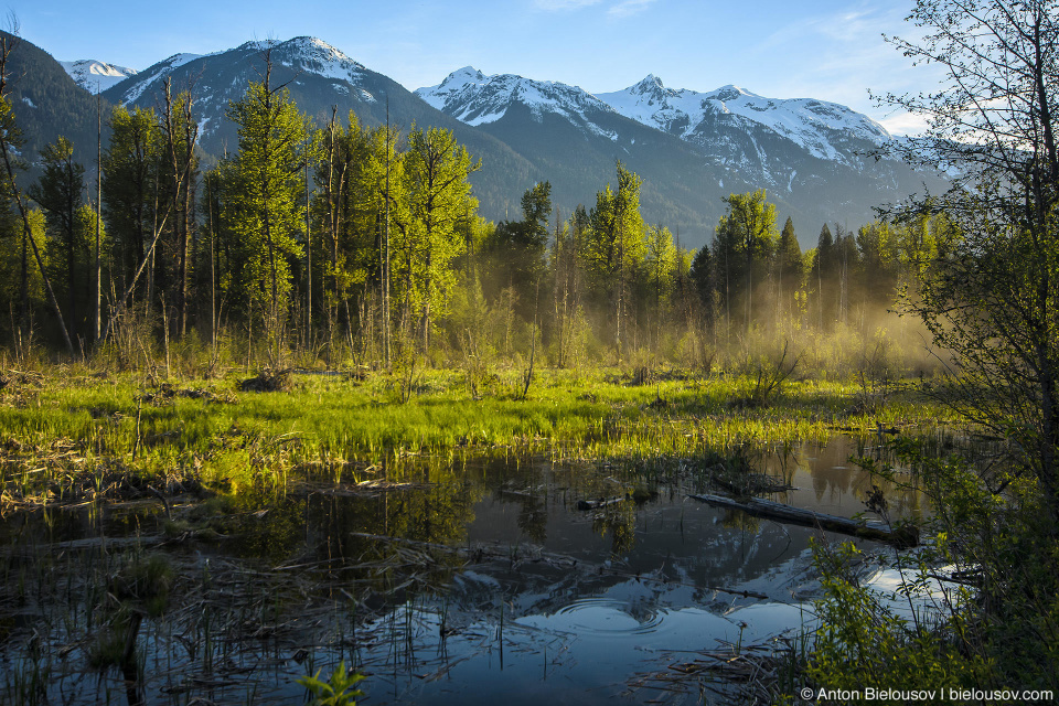 Туман на горном озере (Lillooet River, Pemberton, BC)