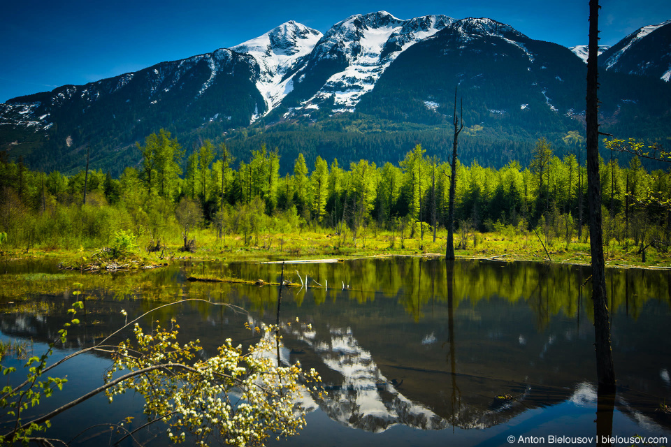 Одно из многих безымянных озер на реке Лиллуэт (Lillooet River, Pemberton, BC)